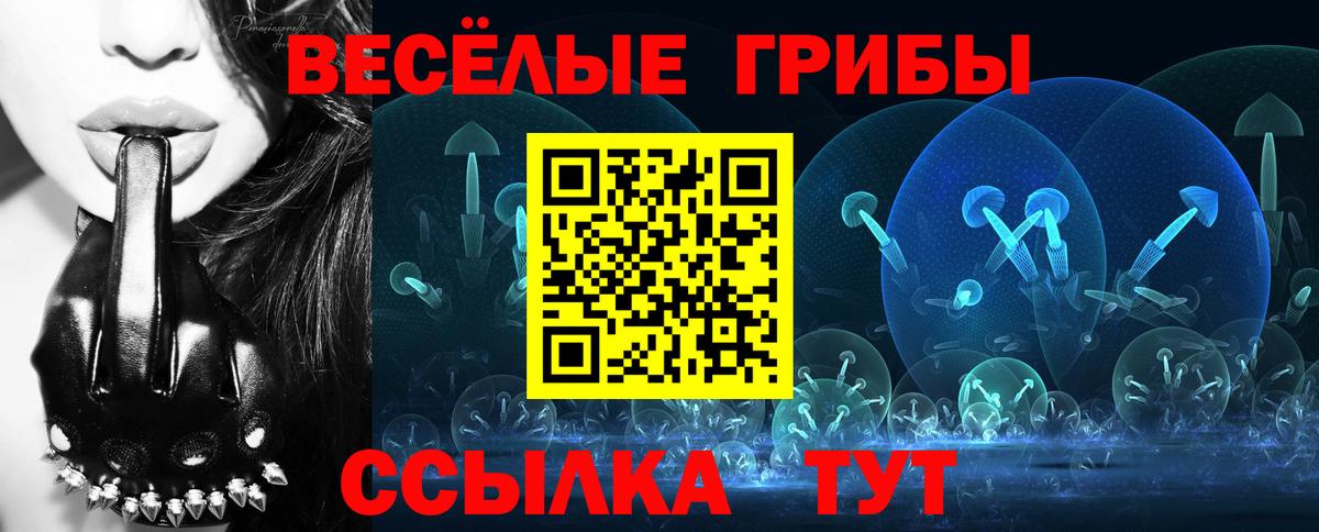 Ялта  Галлюциногенные грибы ЛСД  Вход с VPN 